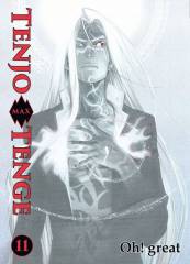 Panini Tenjo Tenge Max 11