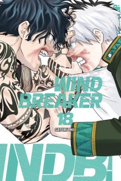 Wind Breaker, Band 18